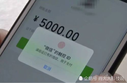 鴻蒙系統(tǒng)的挑戰(zhàn) 為何Teams安裝問(wèn)題成為用戶關(guān)注的焦點(diǎn)